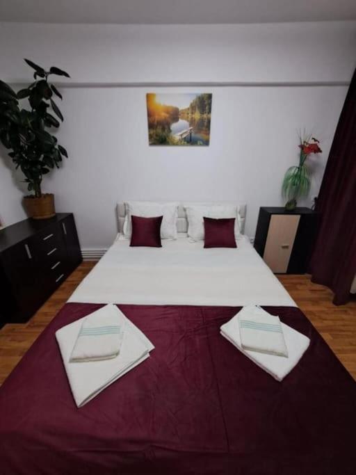 Apartamento Garsoniera Flori - Sinaia Exterior foto